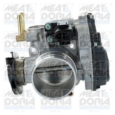Throttle Body